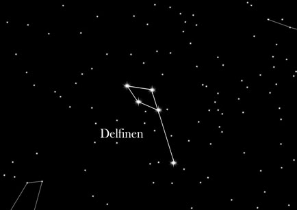 Delfinen